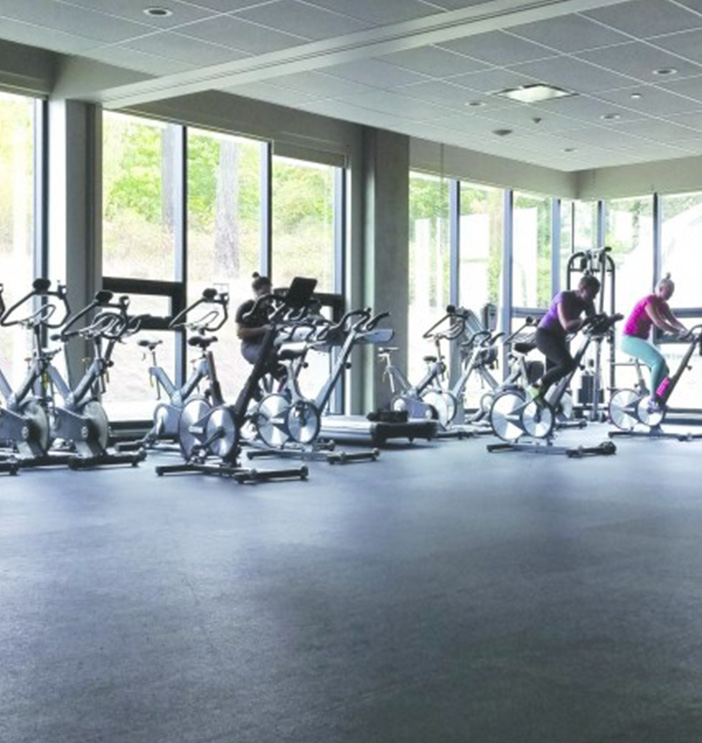Movement Studio